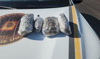 Homem é preso por tráfico de drogas pela Brigada Militar de Novo Hamburgo